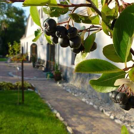 فيلا Aronia Park Lubiechowa المظهر الخارجي الصورة