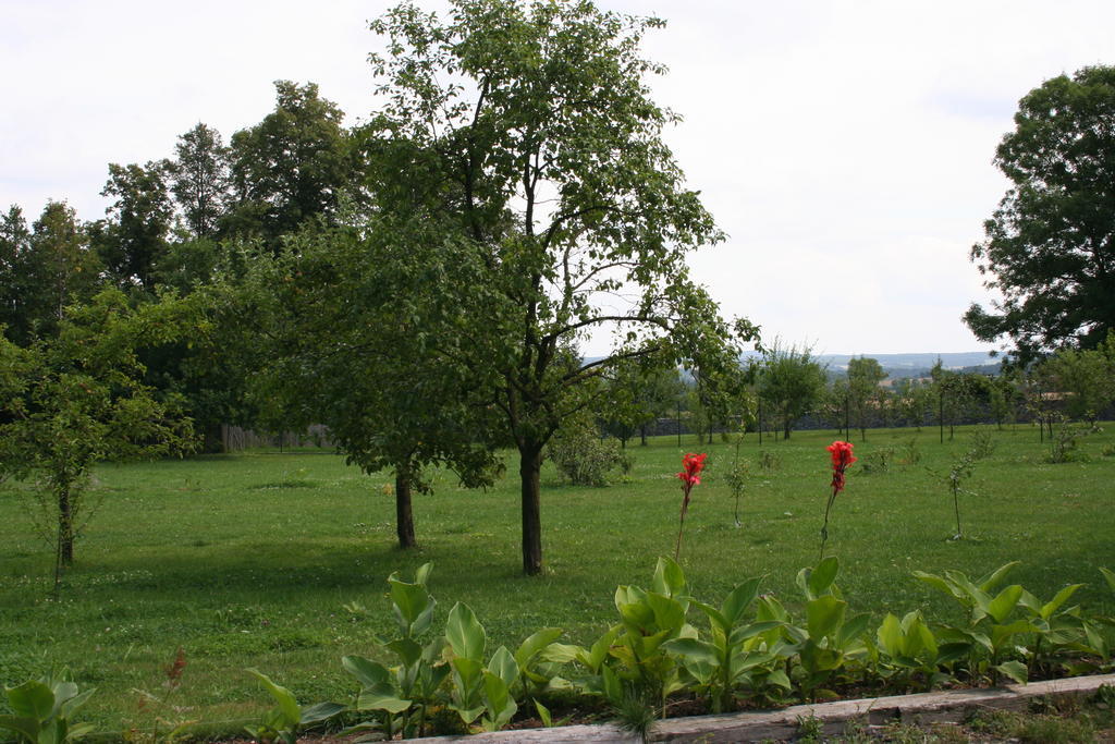 فيلا Aronia Park Lubiechowa المظهر الخارجي الصورة