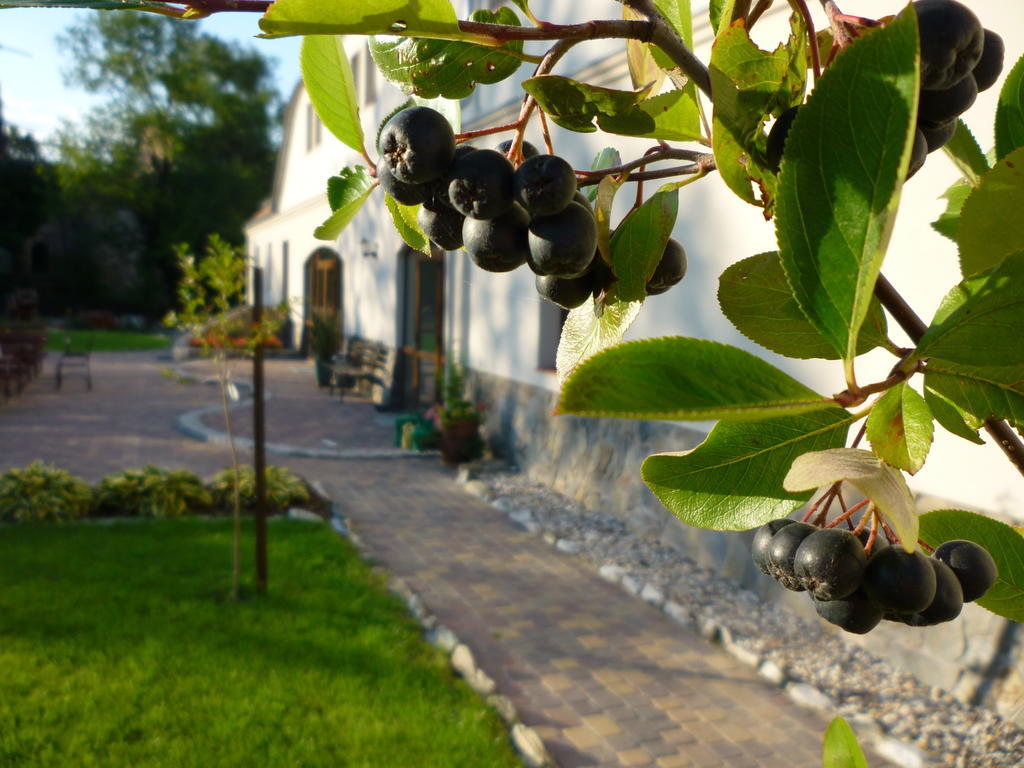 فيلا Aronia Park Lubiechowa المظهر الخارجي الصورة